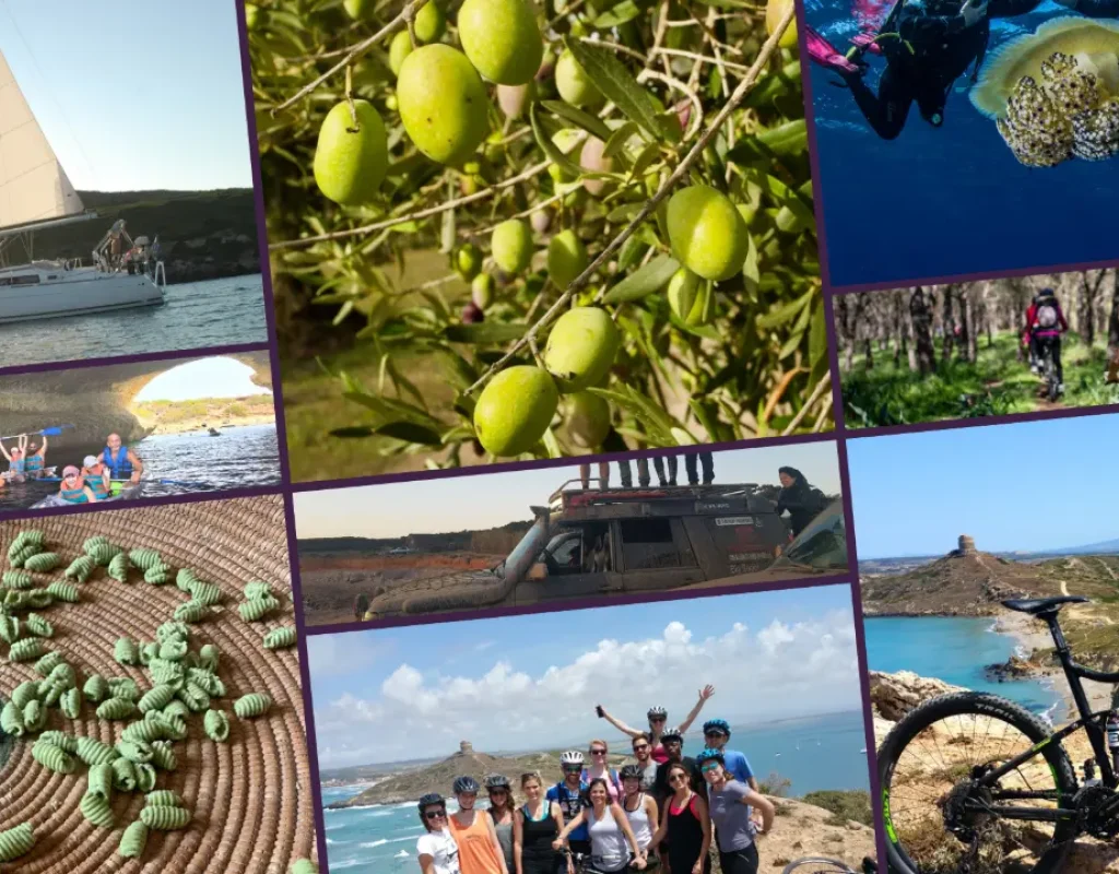 Escursioni penisola del sinis sardegna_opt